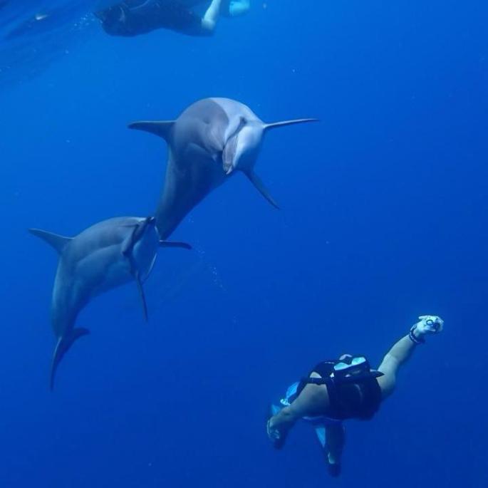 12360169_10208432882363496_7371089827185620823_n