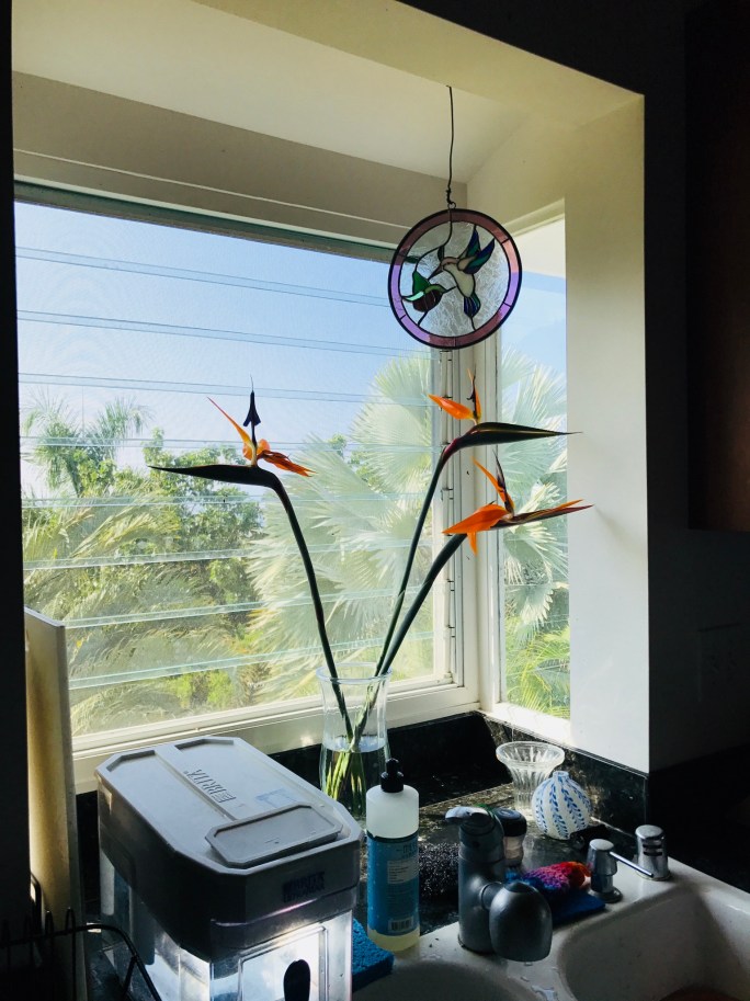 2767D28C-92DE-441F-8AEC-D00A424FCE4E