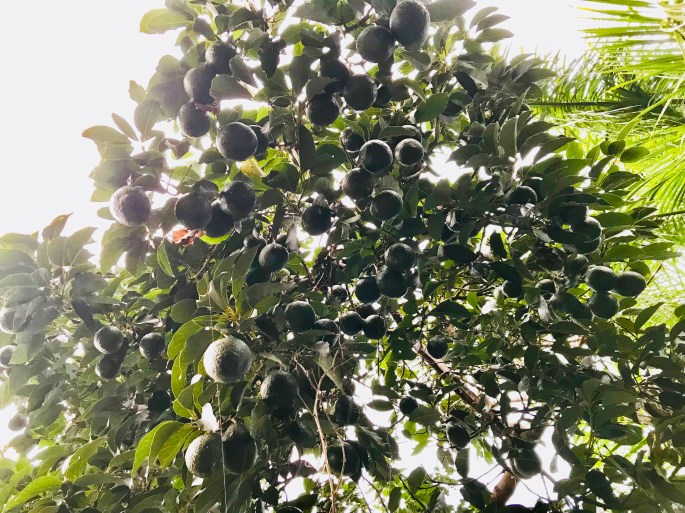 56688582-5752-4098-A341-5CD2B755407B