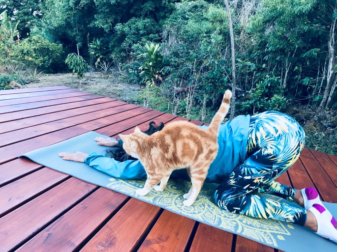 88947902-AC76-4B3B-A1F0-3774DCBFCA54