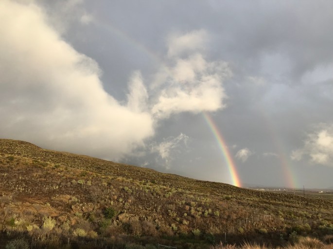 8B48FE38-0370-4C27-8ADF-A5ED79D27CB8