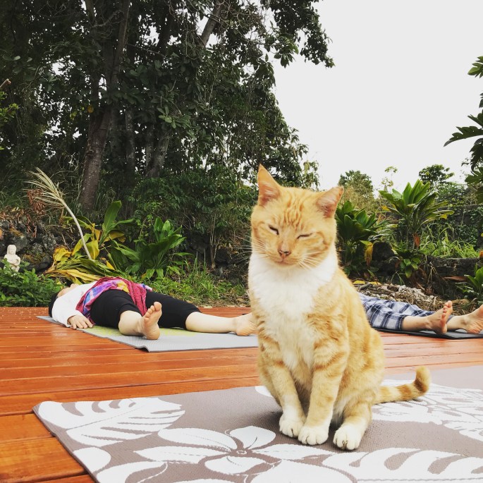 A2A4120B-4504-47D2-80C7-61E5FA0E3837