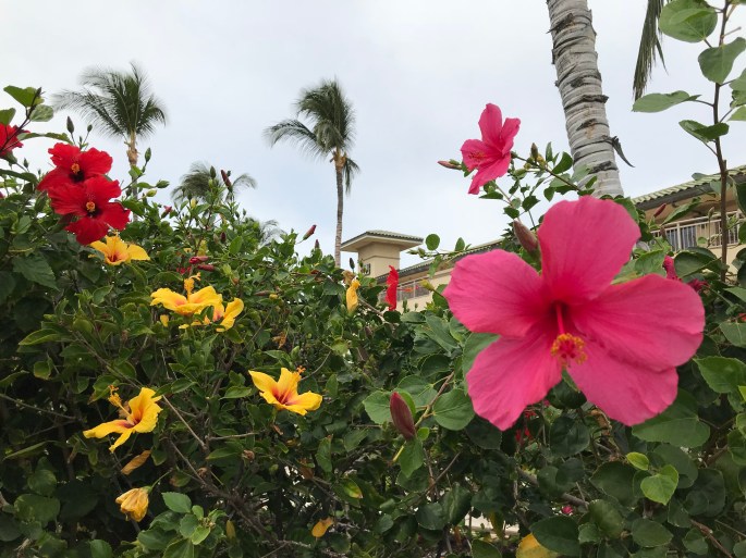 AEF56731-E27C-4B22-AC58-30EEACA7FBE1