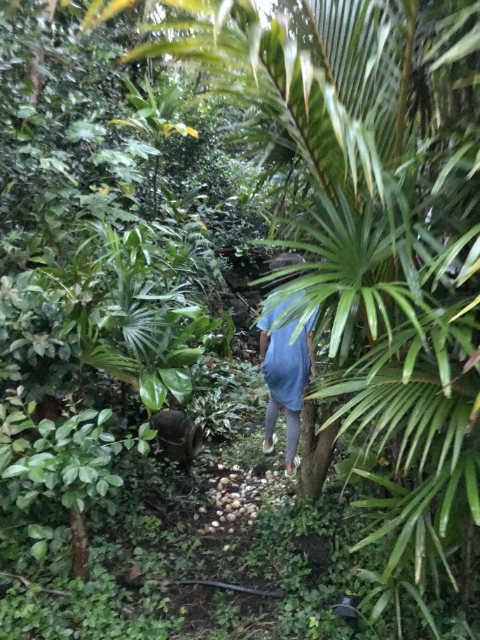 B4E51D3E-886A-4F22-9C20-3282A8A4BB60