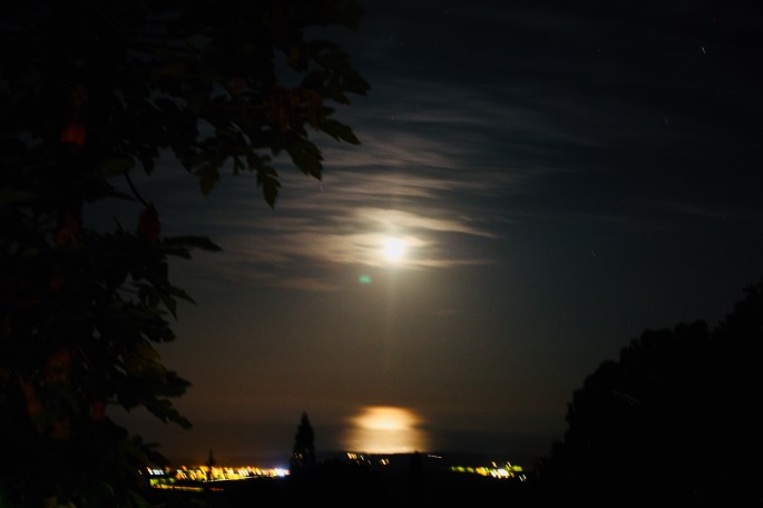 C661AAA4-C278-407C-9CC6-BAD0441824A9