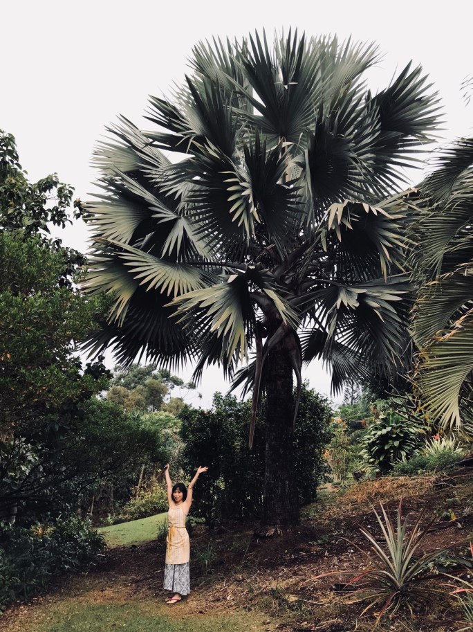 D15DA113-40E9-4FF6-9524-64DC89D3E3B4