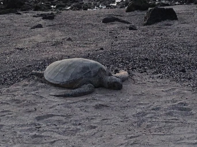 DB13C26E-8CDE-4D24-8A75-E7F38AB75517