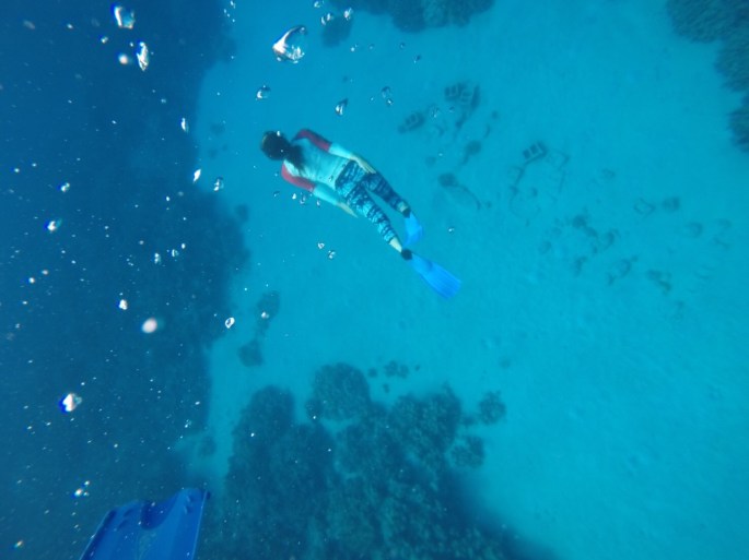 DCEC237A-3B3E-462E-97D9-0145CEABC889