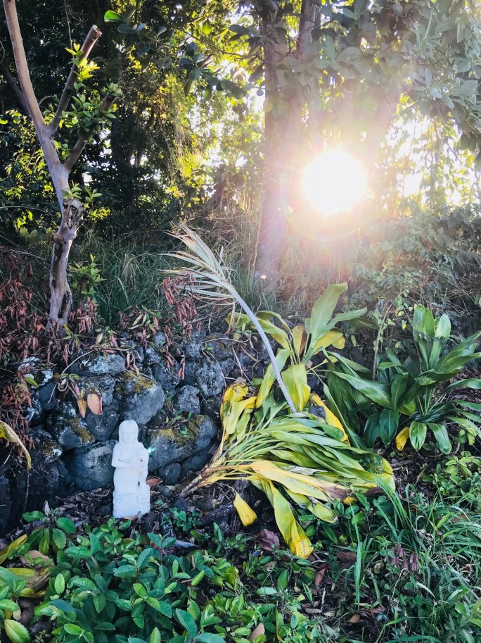 F8266715-D1EE-40A9-BA1F-43D432EE840E